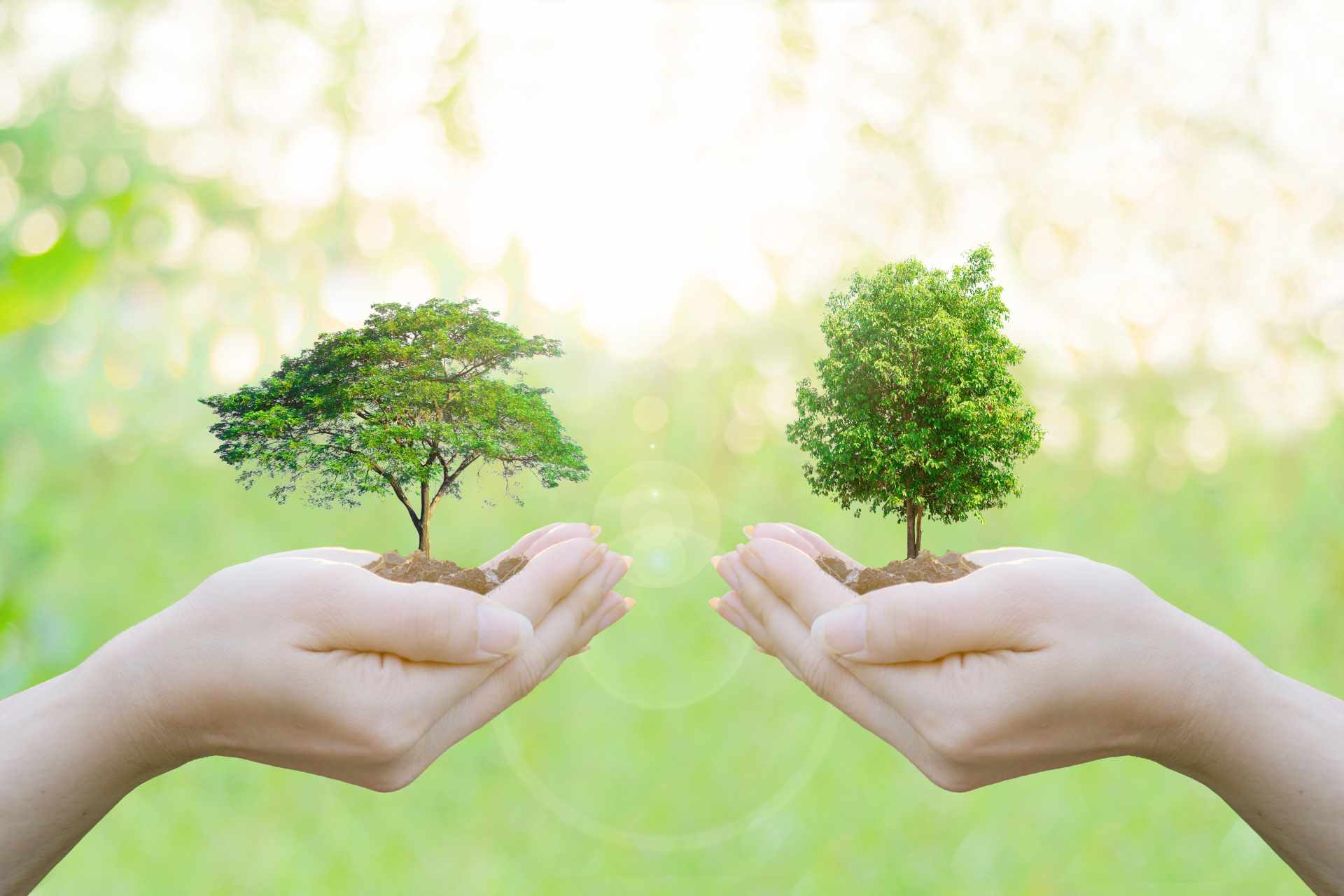Waste & Environmental Management Program